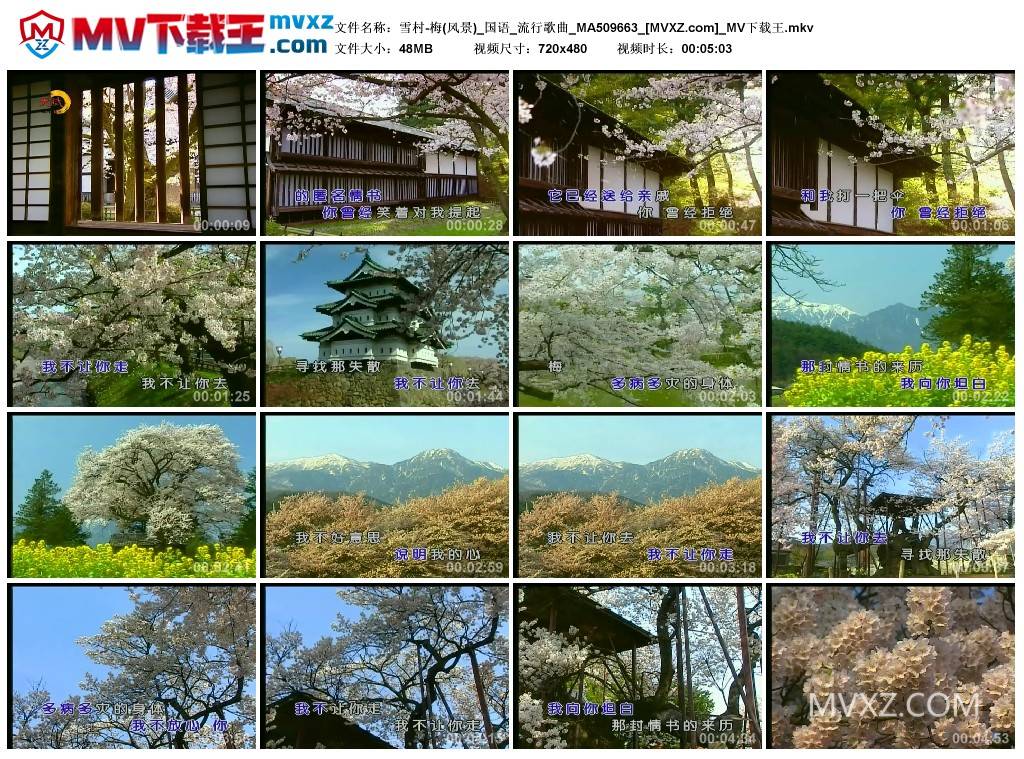 雪村-梅(风景)_国语_流行歌曲_MA509663